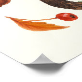 Wilde paddenstoelen op wit poster (Hoek)