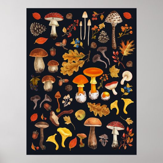 Wilde paddenstoelen op zwart poster (Voorkant)