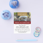 Wilde paddenstoelen, paddenstoelenboer Adverteren Flyer (Enkel)
