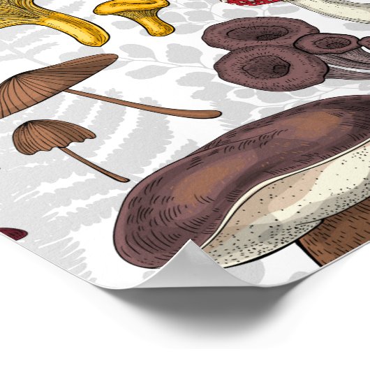 Wilde paddenstoelen poster (Hoek)