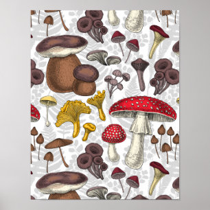 Wilde paddenstoelen poster