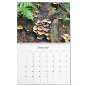Wilde paddenstoelen van Alaska - Grote kalender (Mar 2027)