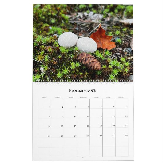 Wilde paddenstoelen van Alaska - Grote kalender (Feb 2026)