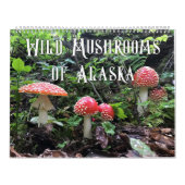Wilde paddenstoelen van Alaska - Grote kalender (Hoes)