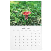 Wilde paddenstoelen van Alaska - Grote kalender (Jan 2026)