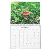 Wilde paddenstoelen van Alaska - Klein kalender (Jan 2027)