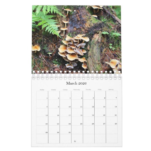 Wilde paddenstoelen van Alaska - Klein kalender (Mar 2026)