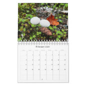 Wilde paddenstoelen van Alaska - Klein kalender (Feb 2026)