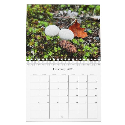 Wilde paddenstoelen van Alaska - Klein kalender (Feb 2026)
