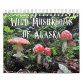 Wilde paddenstoelen van Alaska - Klein kalender (Hoes)