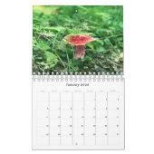 Wilde paddenstoelen van Alaska - Klein kalender (Jan 2026)