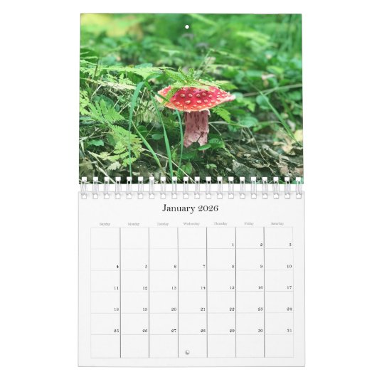 Wilde paddenstoelen van Alaska - Klein kalender (Jan 2026)