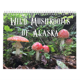 Wilde paddenstoelen van Alaska - Middelgrote kalen Kalender
