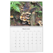 Wilde paddenstoelen van Alaska - Middelgrote kalen Kalender (Mar 2026)