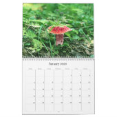 Wilde paddenstoelen van Alaska - Middelgrote kalen Kalender (Jan 2026)