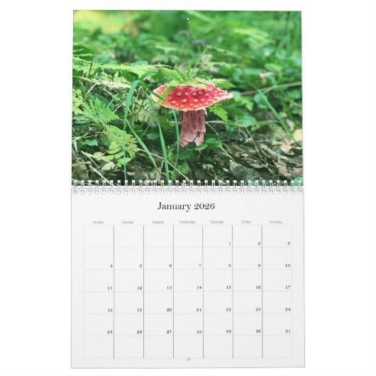 Wilde paddenstoelen van Alaska - Middelgrote kalen Kalender (Jan 2026)