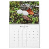 Wilde paddenstoelen van Alaska - Middelgrote kalen Kalender (Feb 2026)