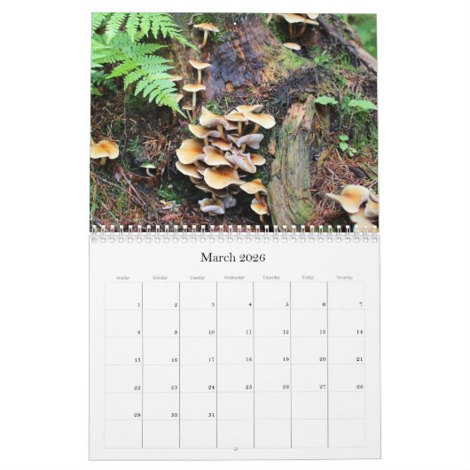 Wilde paddenstoelen van Alaska - Middelgrote kalen Kalender (Mar 2026)
