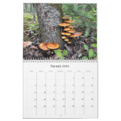Wilde paddenstoelen van Alaska - Middelgrote kalen Kalender (Jan 2026)