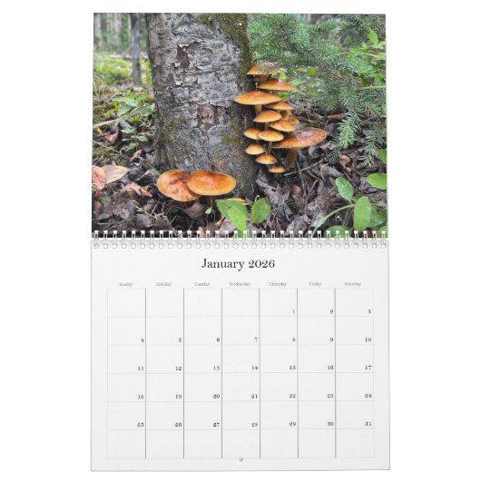 Wilde paddenstoelen van Alaska - Middelgrote kalen Kalender (Jan 2026)