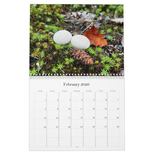 Wilde paddenstoelen van Alaska - Middelgrote kalen Kalender (Feb 2026)
