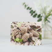 Wilde Paddestoelen, briefkaart (Staand voorkant)