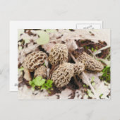 Wilde Paddestoelen, briefkaart (Voorkant / Achterkant)