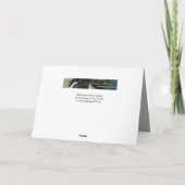 Wilde Palomino Pinto Wilde Paarden Wenskaart Kaart (Achterkant)