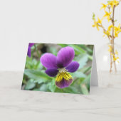 Wilde Pansy Wenskaart Kaart (Gele Bloem)