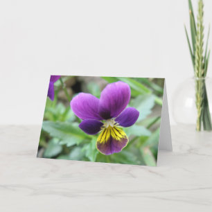 Wilde Pansy Wenskaart Kaart