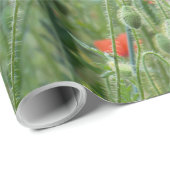 Wilde papaver cadeaupapier (Rol Hoek)