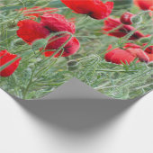 Wilde papaver cadeaupapier (Hoek)