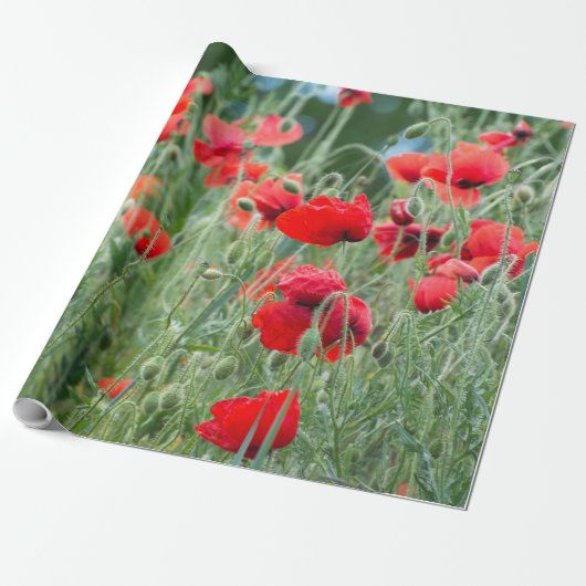 Wilde papaver cadeaupapier (Uitgerold)