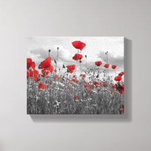 Wilde papaver in zwart, wit en rood canvas afdruk