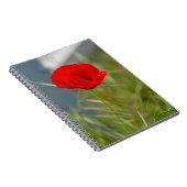 Wilde papaver notitieboek (Rechterzijde)