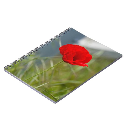 Wilde papaver notitieboek (Linkerzijde)