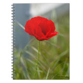 Wilde papaver notitieboek (Voorkant)