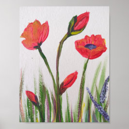 Wilde papaver poster