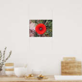 Wilde papaver poster (Keuken)