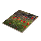 Wilde papaver tegeltje (Zijkant)