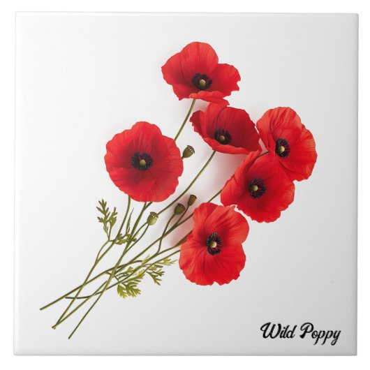 Wilde papaver tegeltje (Voorkant)