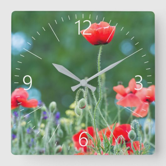 Wilde papaver vierkante klok (Voorkant)