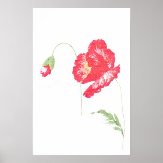 Wilde papaverbloem poster (Voorkant)
