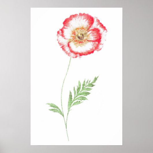Wilde papaverbloem poster (Voorkant)
