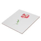 Wilde papaverbloem tegeltje (Zijkant)