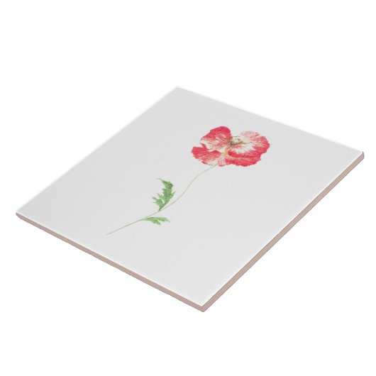 Wilde papaverbloem tegeltje (Zijkant)