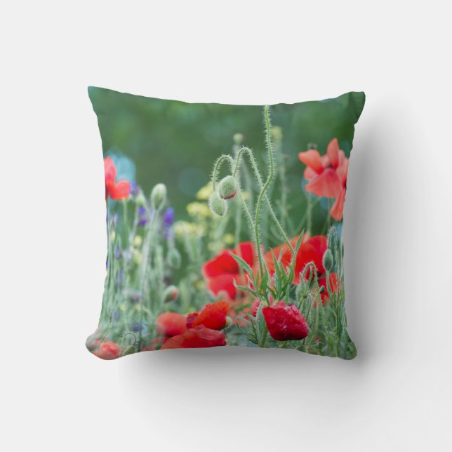 Wilde papavers kussen (Voorkant)