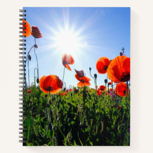 Wilde papavers notitieboek