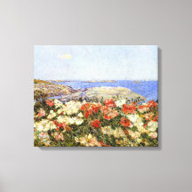 Wilde papavers op de eilanden van Shoals