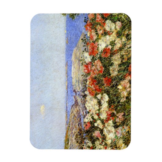 Wilde papavers op de eilanden van Shoals Magneet (Verticaal)